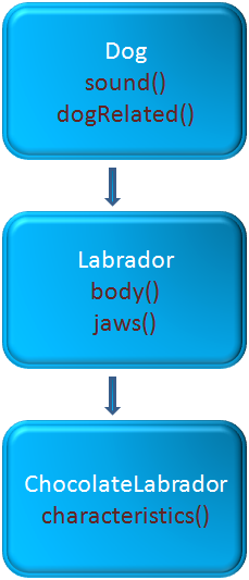 java_Polymorphism